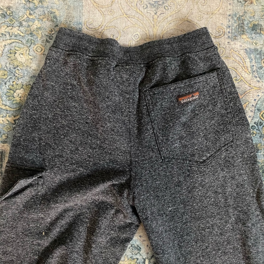 Patagonia joggers